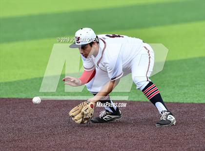 Thumbnail 1 in Madison vs Churchill photogallery.