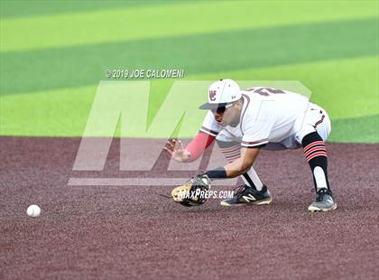 Thumbnail 3 in Madison vs Churchill photogallery.