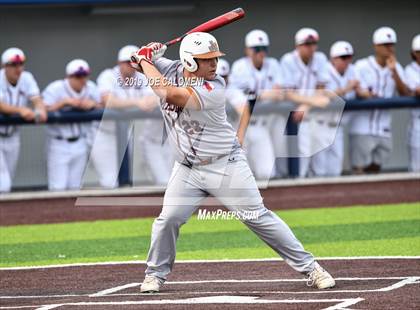 Thumbnail 1 in Madison vs Churchill photogallery.