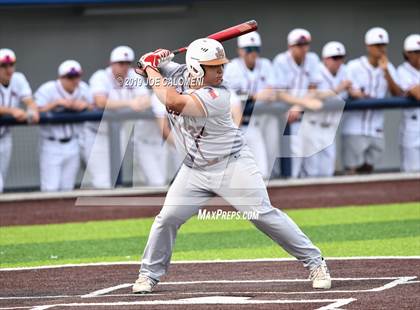 Thumbnail 2 in Madison vs Churchill photogallery.