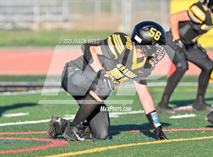 Thumbnail 3 in JV: Foothill @ Granada photogallery.