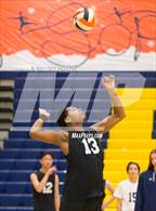 Photo from the gallery "Monterey Trail @ River City"