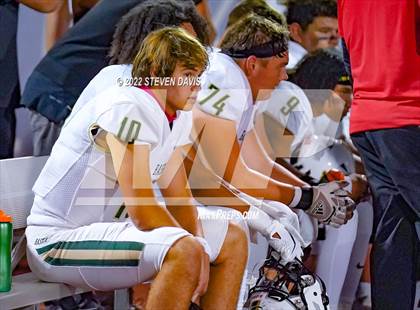 Thumbnail 3 in Basha @ Chandler photogallery.