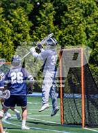 Photo from the gallery "Wilton @ Darien"