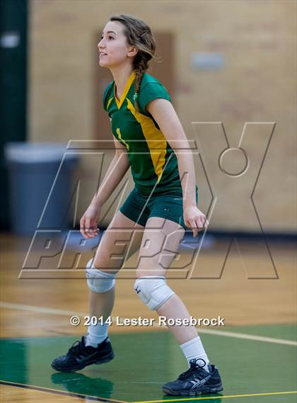 Thumbnail 1 in Warren @ Holmes photogallery.