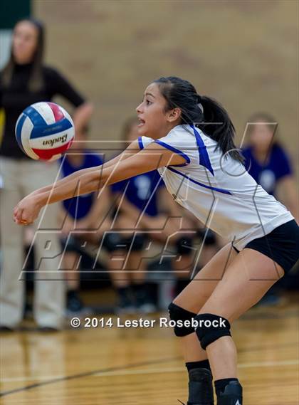 Thumbnail 3 in Warren @ Holmes photogallery.