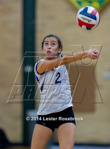 Thumbnail 3 in Warren @ Holmes photogallery.
