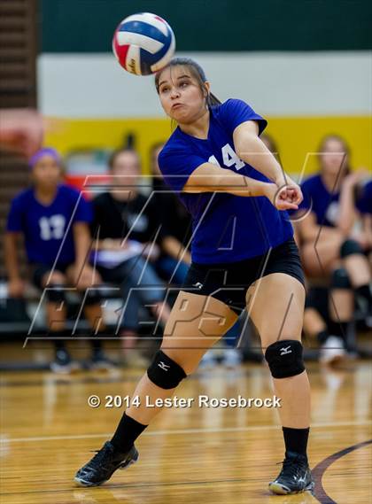 Thumbnail 1 in Warren @ Holmes photogallery.