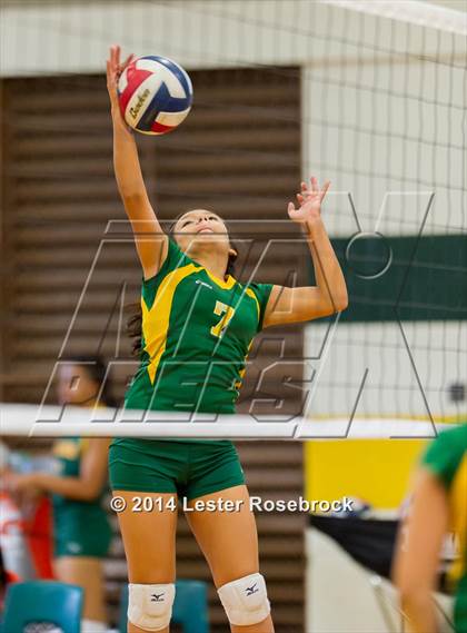 Thumbnail 2 in Warren @ Holmes photogallery.