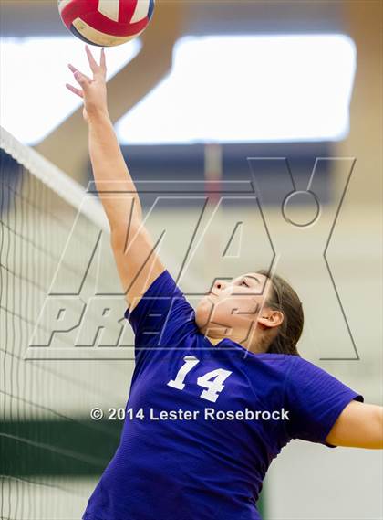 Thumbnail 3 in Warren @ Holmes photogallery.