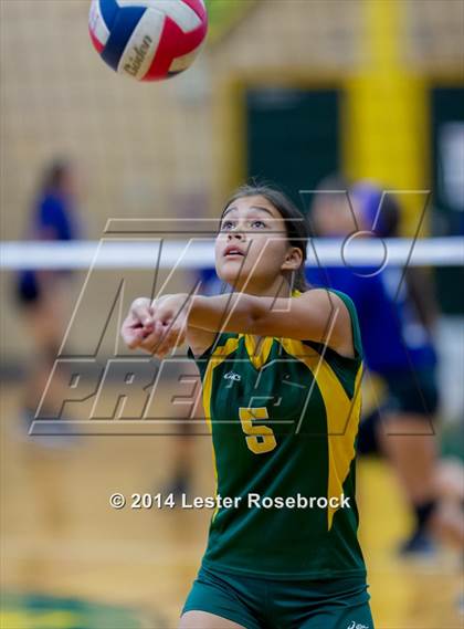 Thumbnail 2 in Warren @ Holmes photogallery.