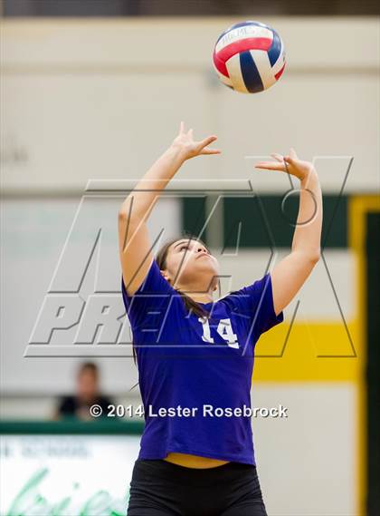 Thumbnail 3 in Warren @ Holmes photogallery.