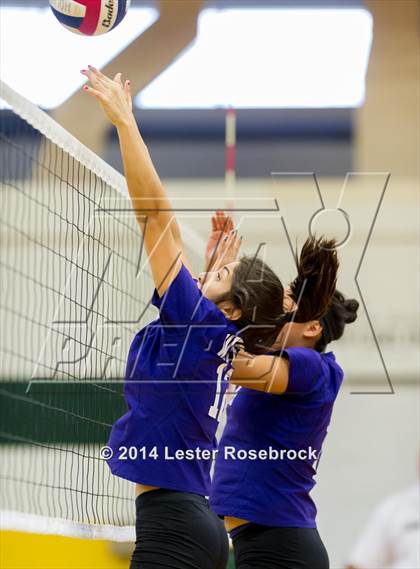 Thumbnail 3 in Warren @ Holmes photogallery.