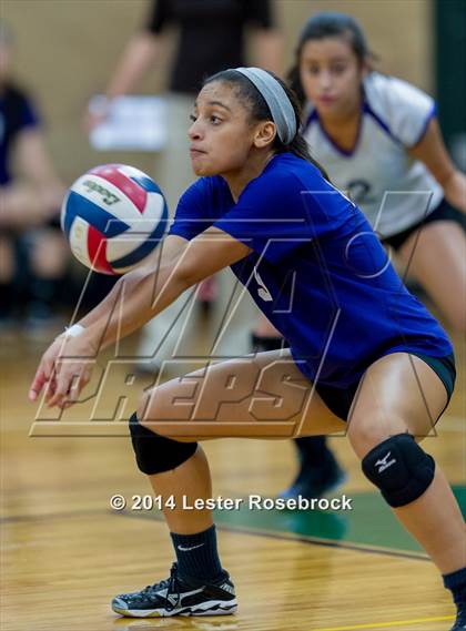 Thumbnail 1 in Warren @ Holmes photogallery.