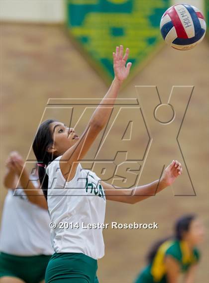 Thumbnail 3 in Warren @ Holmes photogallery.