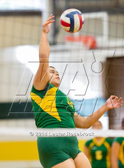 Thumbnail 3 in Warren @ Holmes photogallery.