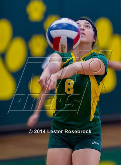 Thumbnail 1 in Warren @ Holmes photogallery.