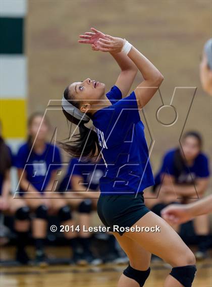 Thumbnail 1 in Warren @ Holmes photogallery.