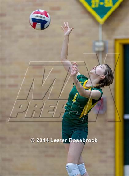 Thumbnail 2 in Warren @ Holmes photogallery.