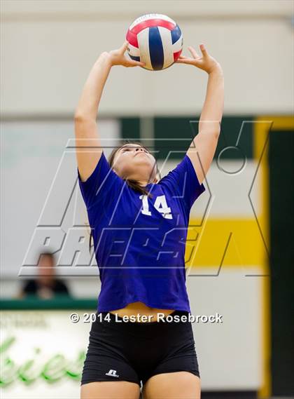 Thumbnail 1 in Warren @ Holmes photogallery.