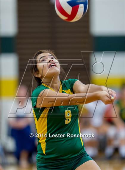 Thumbnail 3 in Warren @ Holmes photogallery.