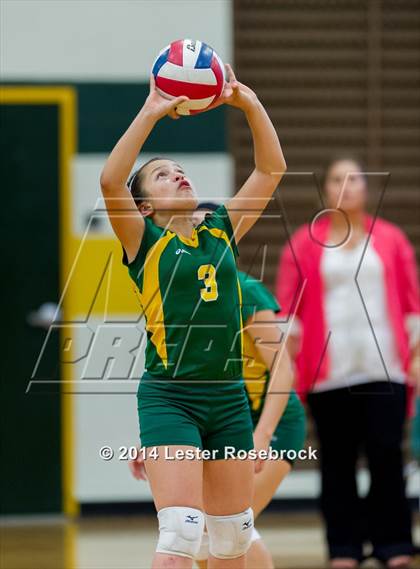 Thumbnail 3 in Warren @ Holmes photogallery.