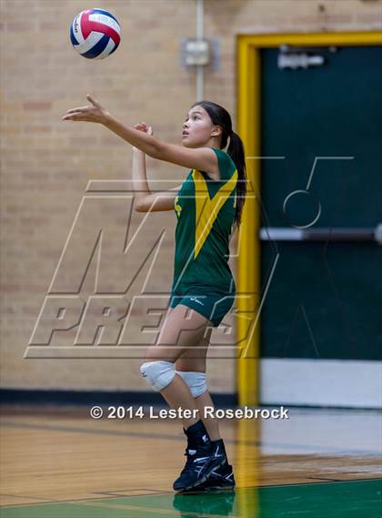 Thumbnail 1 in Warren @ Holmes photogallery.