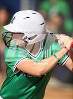 Photo from the gallery "Mountain View @ Timberline"