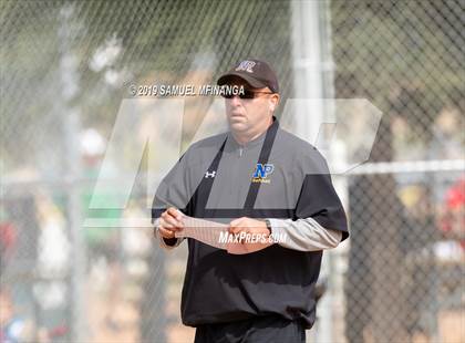 Thumbnail 1 in North Platte vs. Pius X photogallery.