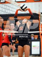 Photo from the gallery "New Smyrna Beach @ Spruce Creek"