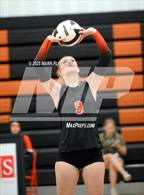 Photo from the gallery "New Smyrna Beach @ Spruce Creek"