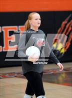 Photo from the gallery "New Smyrna Beach @ Spruce Creek"