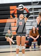 Photo from the gallery "New Smyrna Beach @ Spruce Creek"