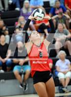 Photo from the gallery "New Smyrna Beach @ Spruce Creek"