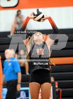 Photo from the gallery "New Smyrna Beach @ Spruce Creek"