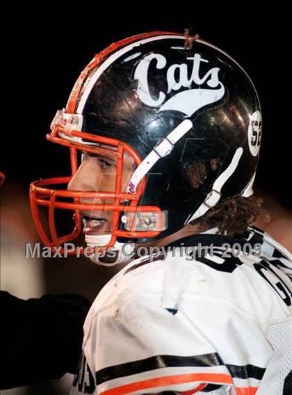 Thumbnail 1 in Los Gatos @ Milpitas photogallery.