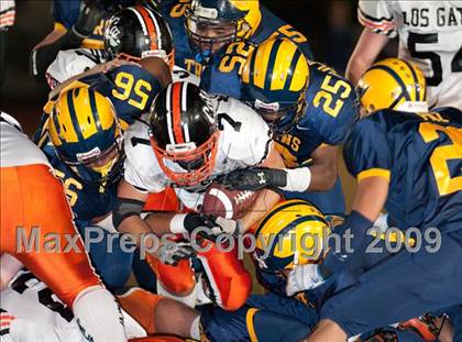Thumbnail 1 in Los Gatos @ Milpitas photogallery.