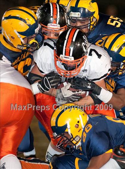 Thumbnail 3 in Los Gatos @ Milpitas photogallery.