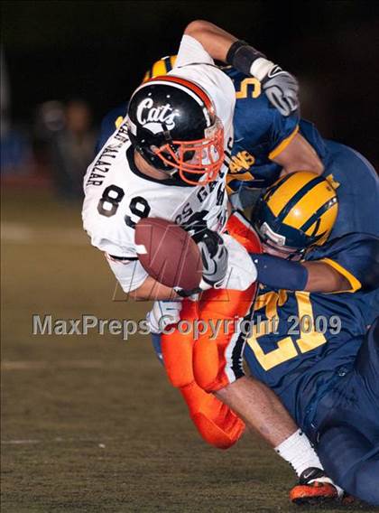 Thumbnail 3 in Los Gatos @ Milpitas photogallery.