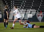 Photo from the gallery "Lutheran vs. Evergreen (CHSAA 4A Championship)"