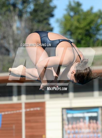 Thumbnail 1 in CVAA Championships photogallery.