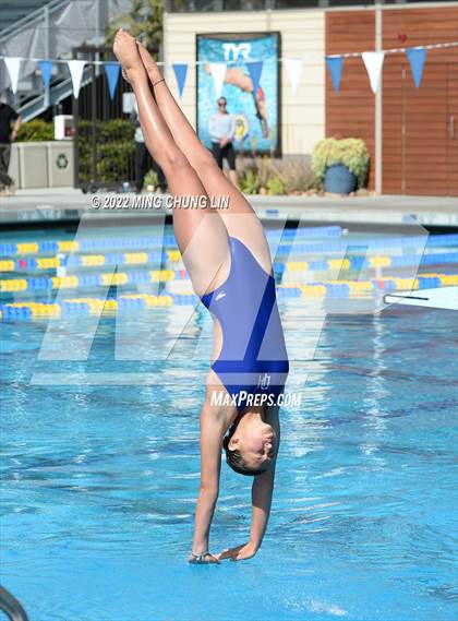 Thumbnail 1 in CVAA Championships photogallery.