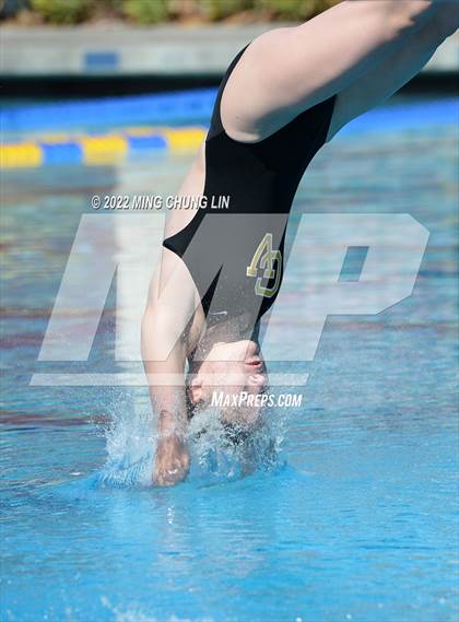 Thumbnail 1 in CVAA Championships photogallery.