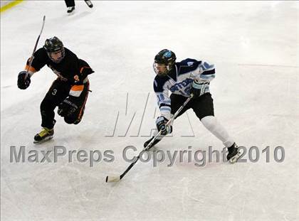 Thumbnail 1 in Mamaroneck @ Suffern photogallery.