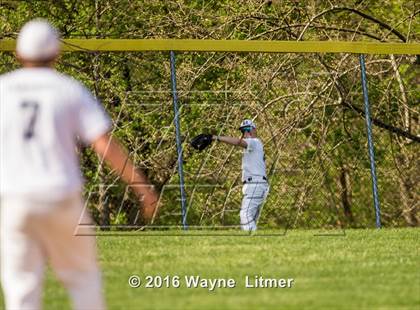 Thumbnail 3 in Dixie @ Lloyd photogallery.