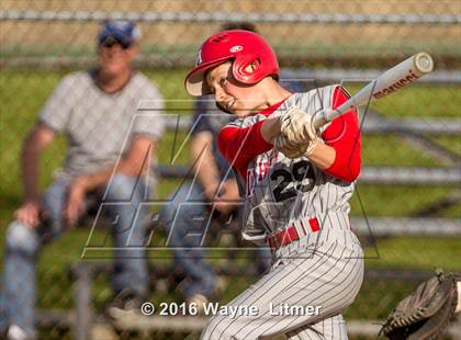Thumbnail 3 in Dixie @ Lloyd photogallery.