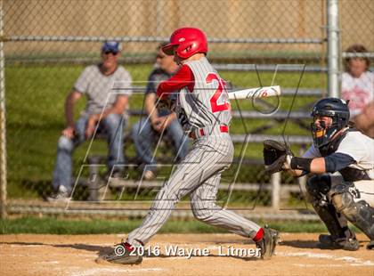 Thumbnail 3 in Dixie @ Lloyd photogallery.