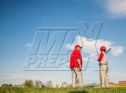 Thumbnail 3 in Dixie @ Lloyd photogallery.
