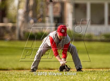 Thumbnail 3 in Dixie @ Lloyd photogallery.