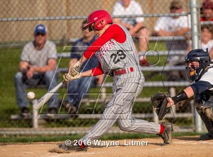 Thumbnail 1 in Dixie @ Lloyd photogallery.